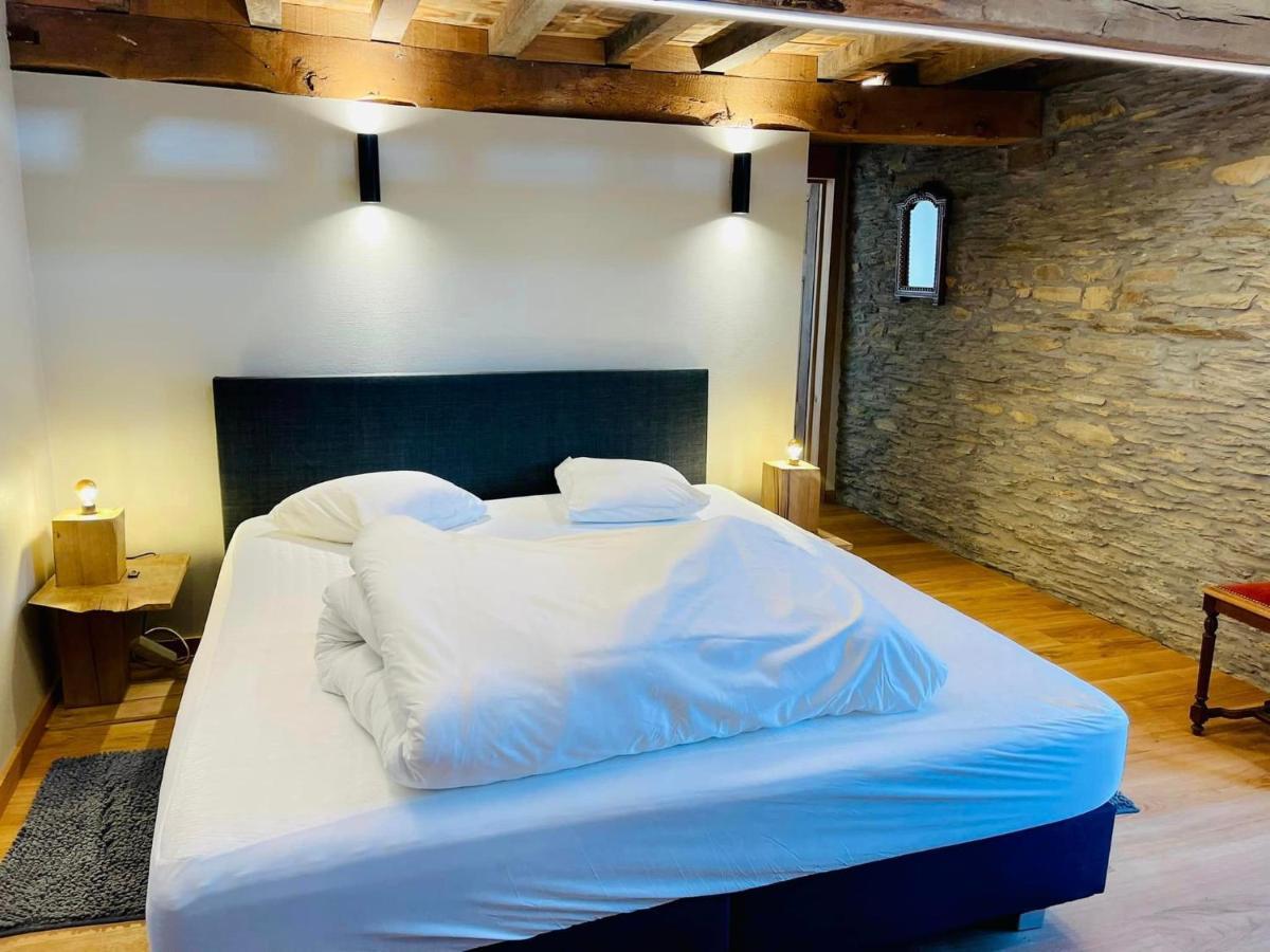 Manoir De Sterpigny, Château-ferme 17ème Siècle La Tour Hébergement de vacances Gouvy